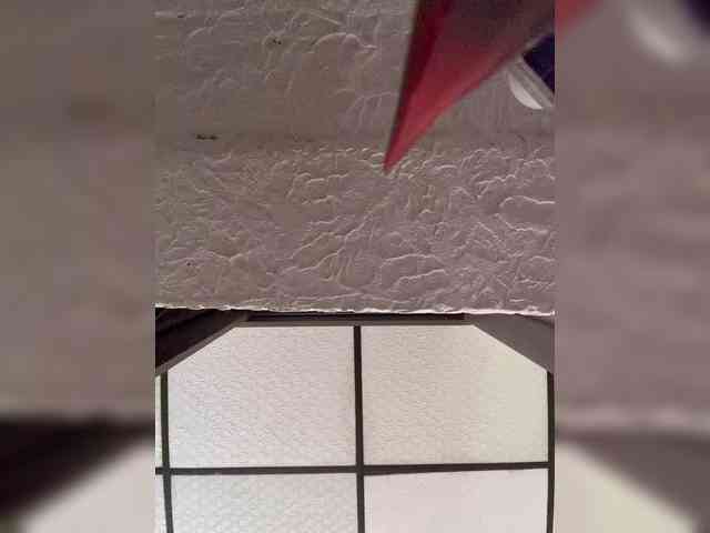 MaiaCollins MaiaCollins