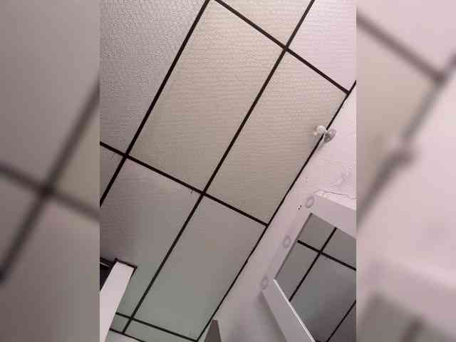 MaiaCollins MaiaCollins