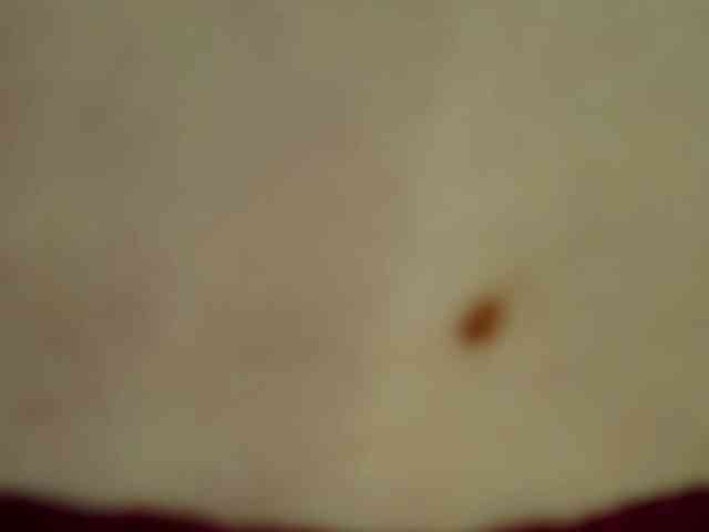 Pamelamk webcam