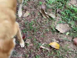 KinaMoonLove Porn Show