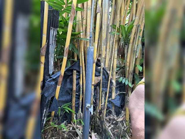 KinaMoonLove's BongaCams show and profile