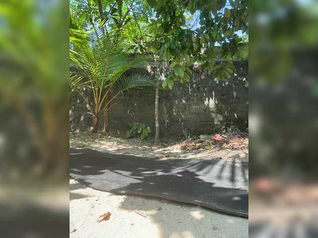 KinaMoonLove's BongaCams show and profile