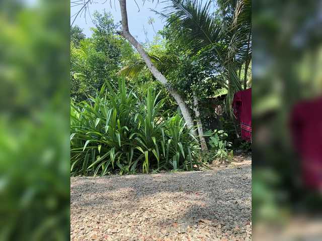 Preview of kinamoonlove