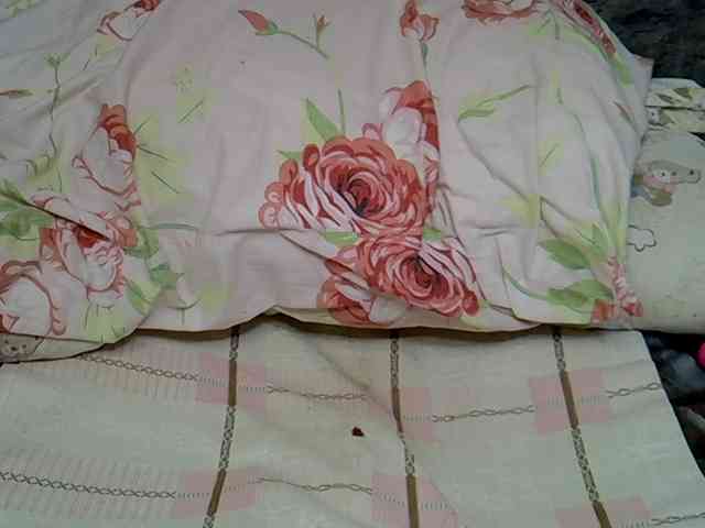 SweetBellan SweetBellan