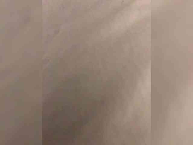 DonDigDonnn webcam