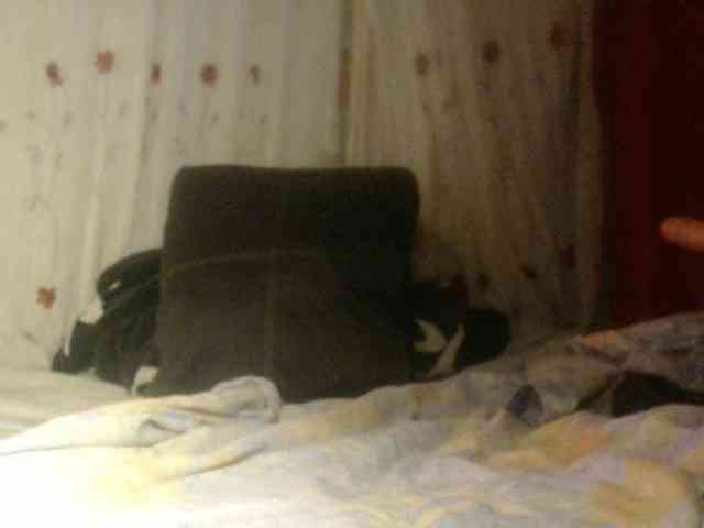 ANNYFOX webcam