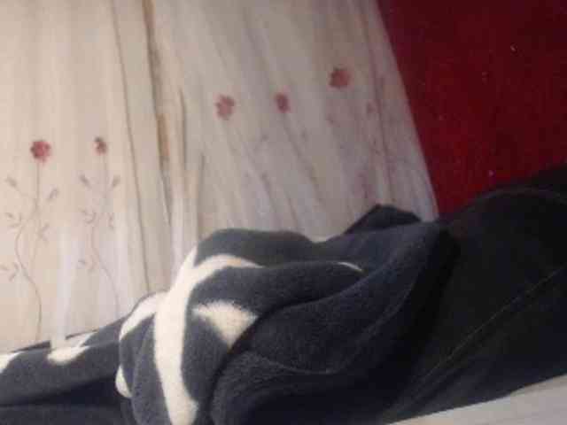 ANNYFOX webcam