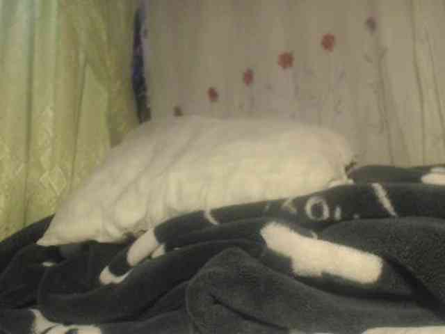 ANNYFOX webcam