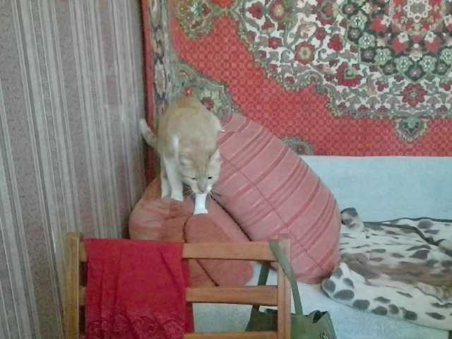 KathlynHeath's BongaCams show and profile