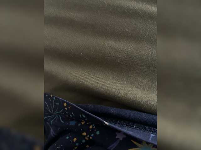 Preview of denastia01
