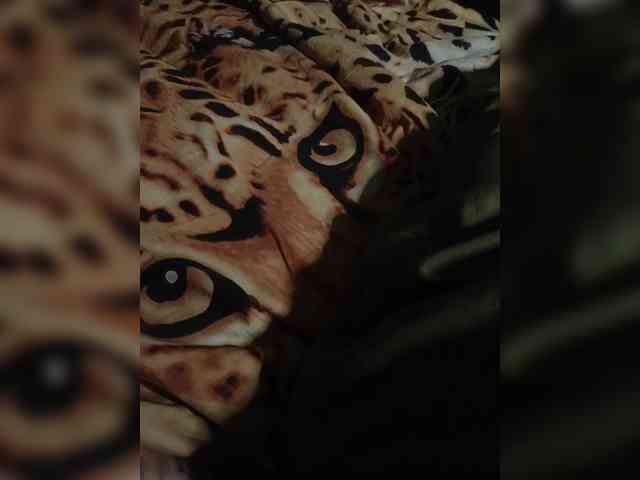 SexDirka webcam