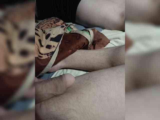 SexDirka webcam