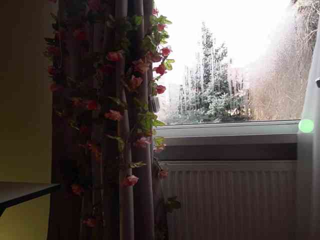 Danil__Kolbasenko webcam