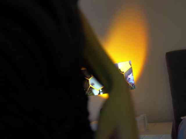 ballerina_capuchina webcam