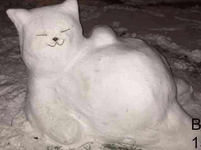 ballerina_capuchina webcam