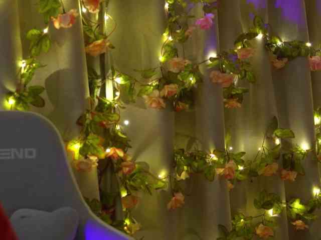 ballerina_capuchina webcam