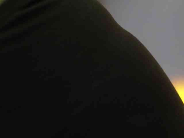 ballerina_capuchina webcam