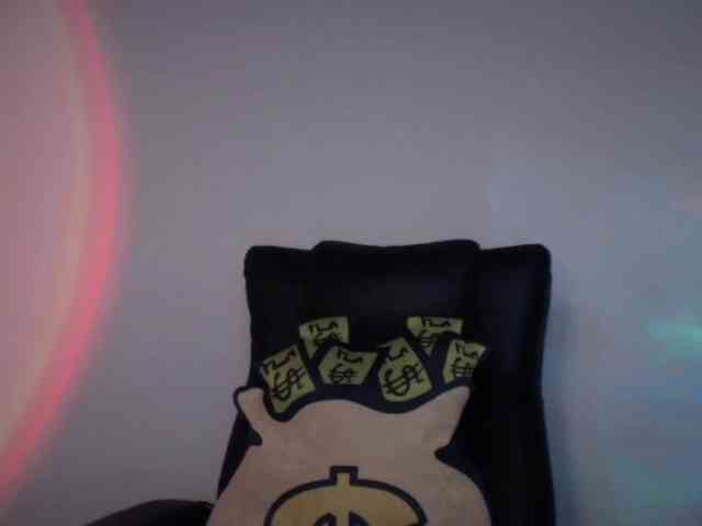 paramo1 webcam