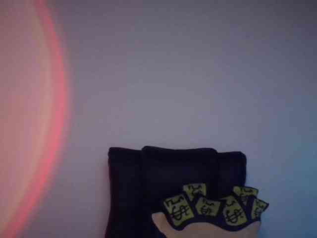 paramo1 webcam