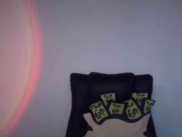 paramo1 webcam