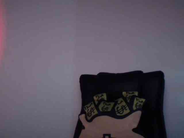 paramo1 webcam