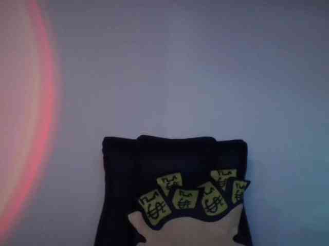 paramo1 webcam