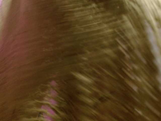 CharlotteLemke's BongaCams show and profile