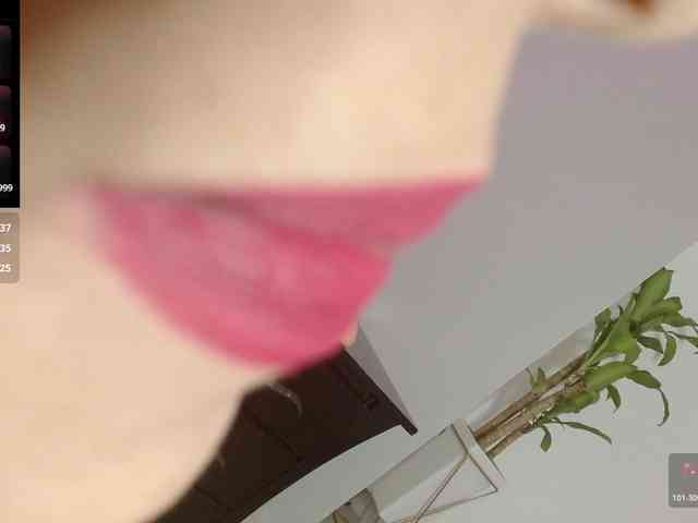 CharlotteLemke webcam