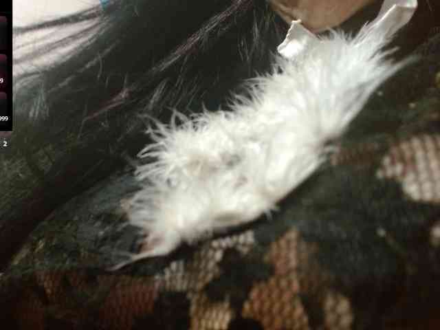 CharlotteLemke webcam