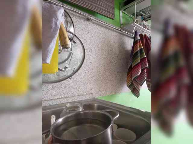 SonyaManya webcam