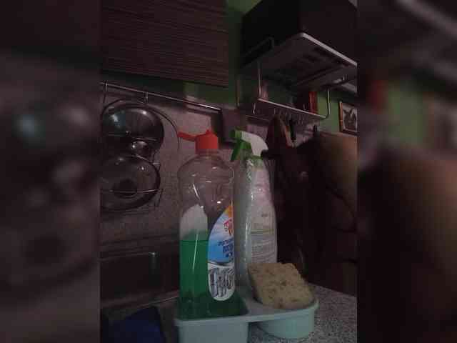 SonyaManya webcam