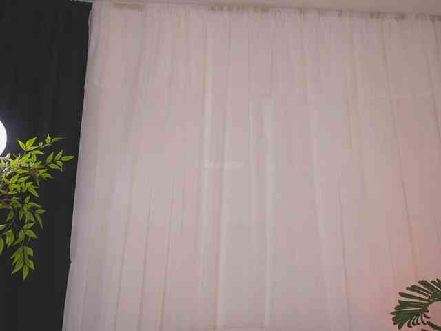 Bella-francoo webcam
