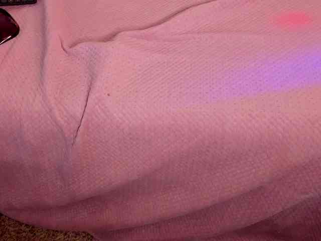 Yiauana webcam