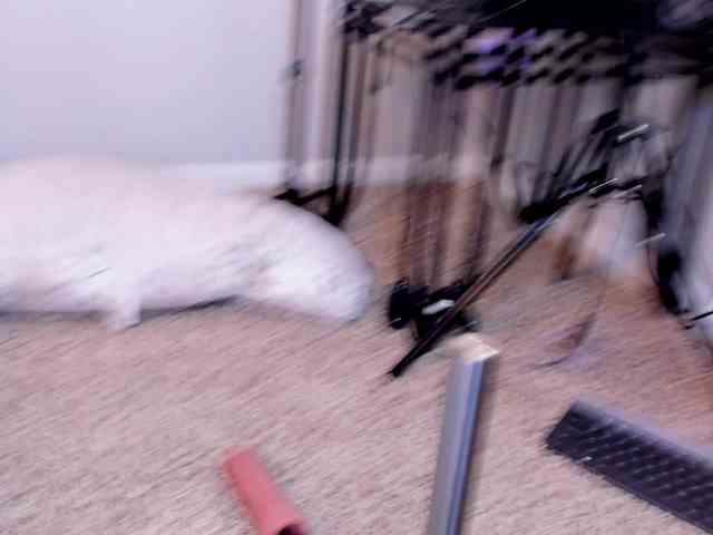 Yiauana webcam