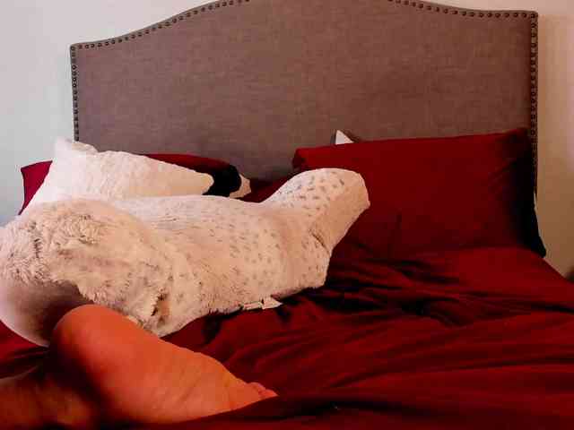 Yiauana webcam
