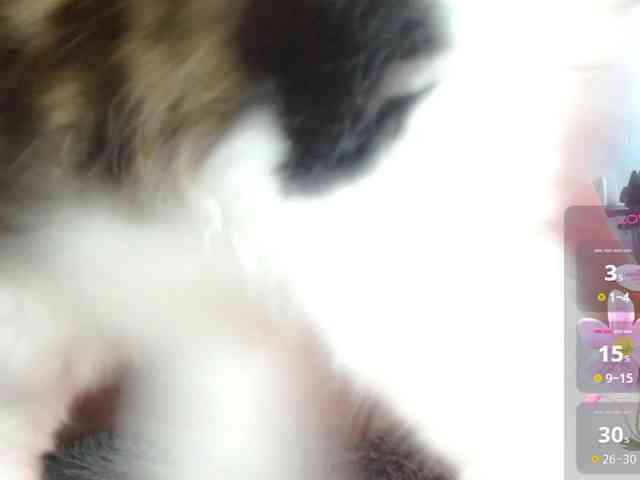 giordanapinoo webcam