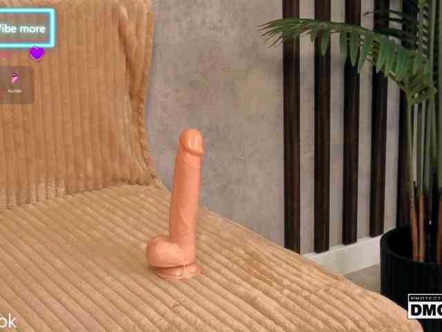 Hollywww webcam