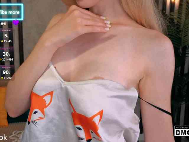 Hollywww webcam