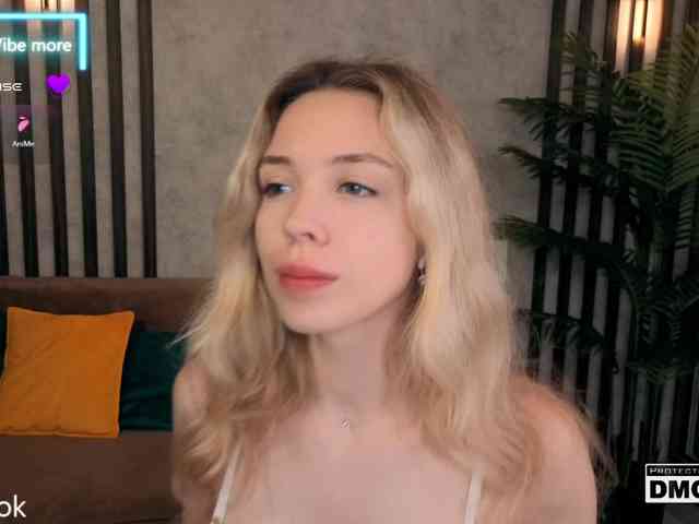 Hollywww webcam