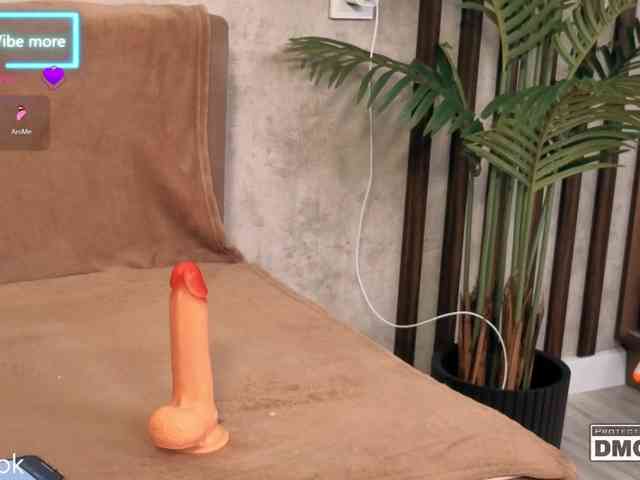 Hollywww webcam