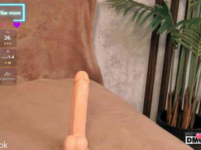 Hollywww webcam