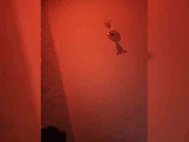 myrmyrchenki Live Webcam on BongaCams