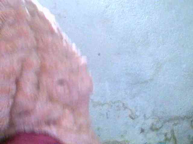 Sylivinaahh webcam