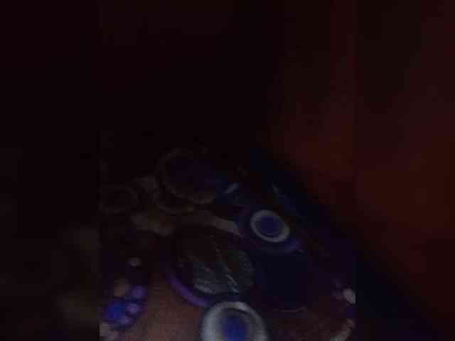 LeeNel webcam
