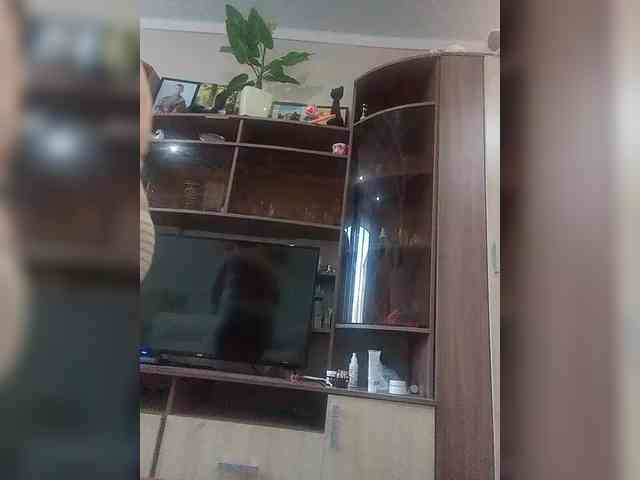 LeeNel webcam