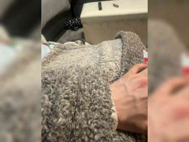 Dieselwhite35 Dieselwhite35