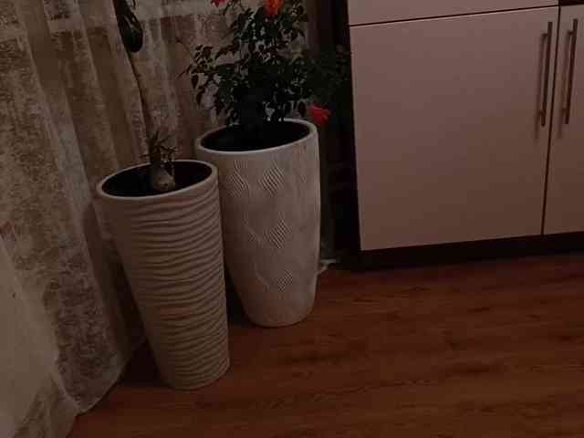 Lissa-Melissa webcam