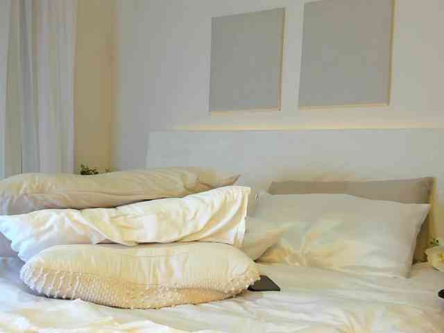 Cinnamon-Lips webcam