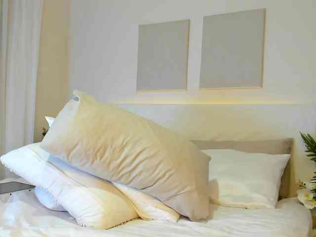 Cinnamon-Lips webcam