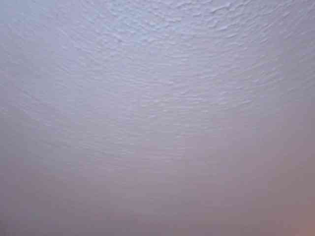 sexxyladyy webcam